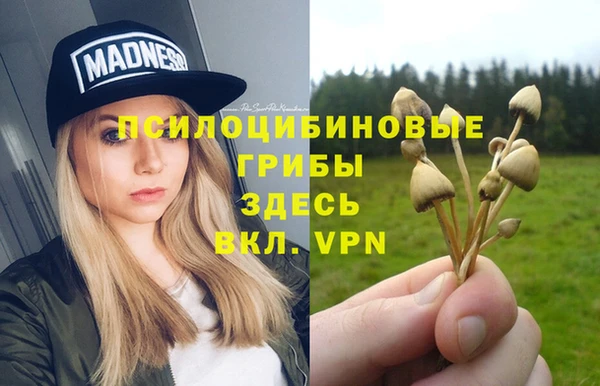 твердый Горнозаводск
