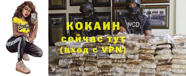 дмт Медногорск